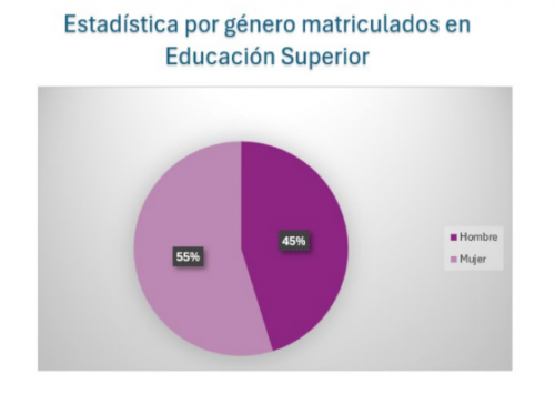 Desigualdad de género en el acceso a la educación superior y técnica ...